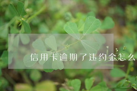信用卡逾期了违约金怎么算 信用卡逾期了违约金怎么算
