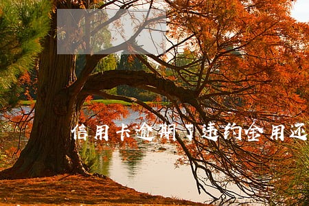信用卡逾期了违约金用还吗