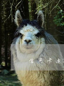 信用卡逾期了都不催我还款 信用卡逾期了都不催我还款