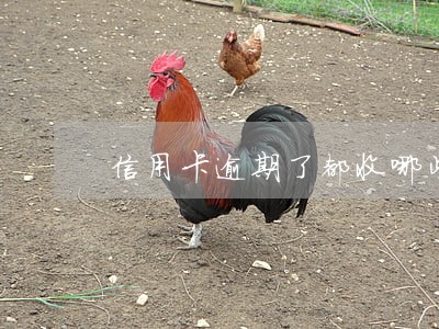 信用卡逾期了都收哪些费用 信用卡逾期了都收哪些费用