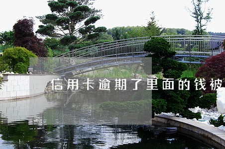信用卡逾期了里面的钱被冻结了 信用卡逾期了里面的钱被冻结了