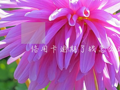 信用卡逾期了钱怎么追回 信用卡逾期了钱怎么追回