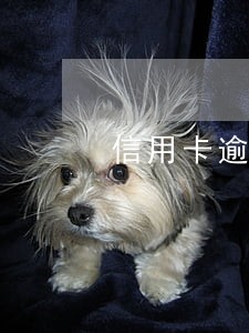 信用卡逾期了银监局管不