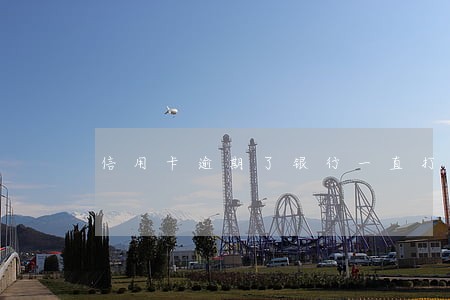 信用卡逾期了银行一直打电话 信用卡逾期了银行一直打电话