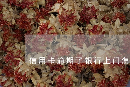 信用卡逾期了银行上门怎么办 信用卡逾期了银行上门怎么办