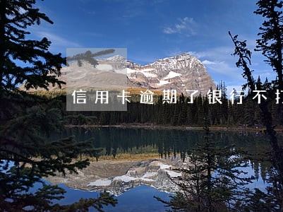 信用卡逾期了银行不打电话了
