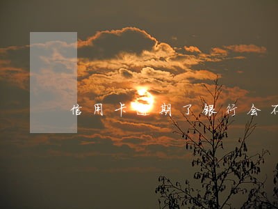 信用卡逾期了银行会不会抓人 信用卡逾期了银行会不会抓人