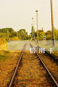 信用卡逾期了银行会怎么处理 信用卡逾期了银行会怎么处理