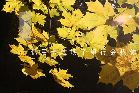 信用卡逾期了银行会找你吗 信用卡逾期了银行会找你吗