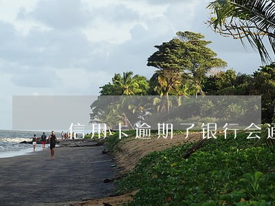 信用卡逾期了银行会通知还款吗 信用卡逾期了银行会通知还款吗