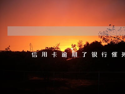 信用卡逾期了银行催死了怎么办