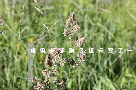 信用卡逾期了银行写了一封信来 信用卡逾期了银行写了一封信来