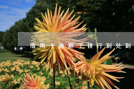 信用卡逾期了银行到处到电话 信用卡逾期了银行到处到电话