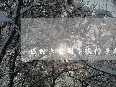 信用卡逾期了银行多久会立案 信用卡逾期了银行多久会立案