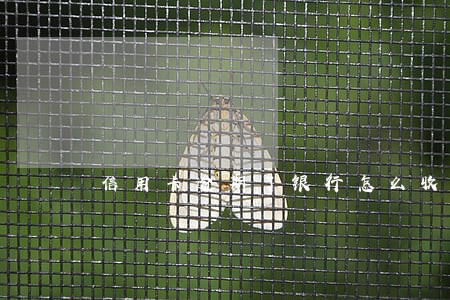 信用卡逾期了银行怎么收手续费 信用卡逾期了银行怎么收手续费