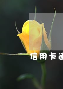 信用卡逾期了银行报案怎么办 信用卡逾期了银行报案怎么办