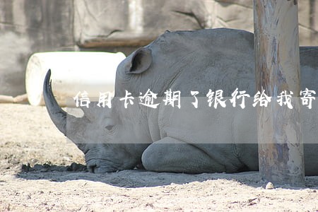 信用卡逾期了银行给我寄挂号信 信用卡逾期了银行给我寄挂号信
