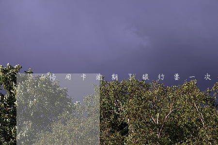 信用卡逾期了银行要一次性付款
