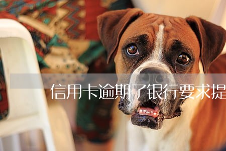 信用卡逾期了银行要求提供资料 信用卡逾期了银行要求提供资料