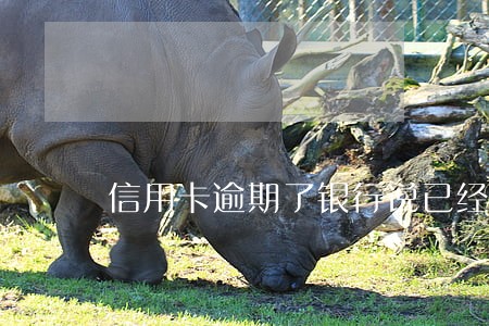 信用卡逾期了银行说已经报案 信用卡逾期了银行说已经报案
