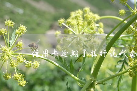 信用卡逾期了银行说我套现 信用卡逾期了银行说我套现