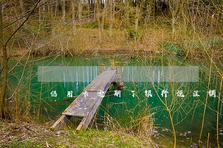 信用卡逾期了银行说注销了 信用卡逾期了银行说注销了