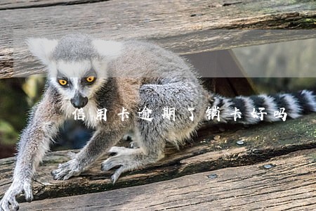 信用卡逾期了销卡好吗 信用卡逾期了销卡好吗