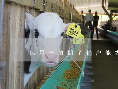 信用卡逾期了销户能去掉征信吗 信用卡逾期了销户能去掉征信吗