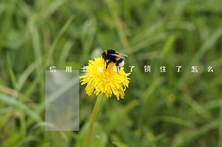 信用卡逾期了锁住了怎么办 信用卡逾期了锁住了怎么办