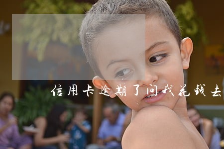 信用卡逾期了问我花钱去向
