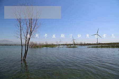 信用卡逾期了额度为零怎么办