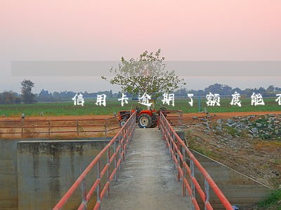 信用卡逾期了额度能不能用 信用卡逾期了额度能不能用
