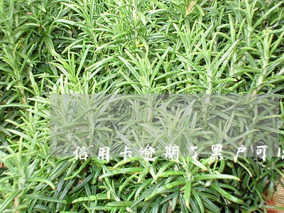 信用卡逾期了黑户可以贷款那