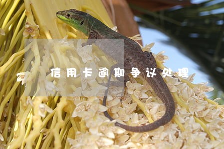 信用卡逾期争议处理