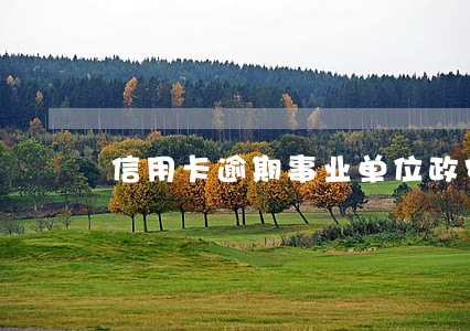 信用卡逾期事业单位政审 信用卡逾期事业单位政审