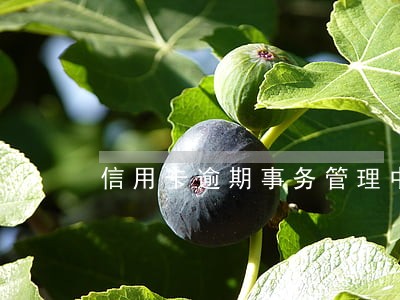 信用卡逾期事务管理中心 信用卡逾期事务管理中心