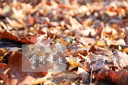信用卡逾期事属于严重征信 信用卡逾期事属于严重征信