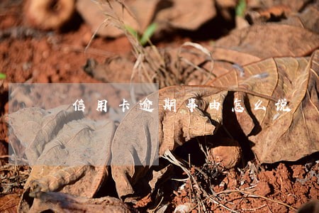 信用卡逾期事由怎么说