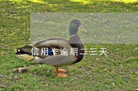 信用卡逾期二三天 信用卡逾期二三天