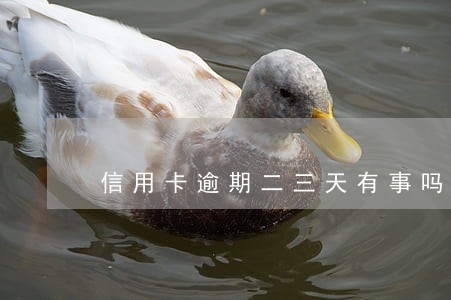 信用卡逾期二三天有事吗 信用卡逾期二三天有事吗