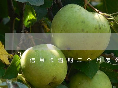信用卡逾期二个月怎么贷款 信用卡逾期二个月怎么贷款