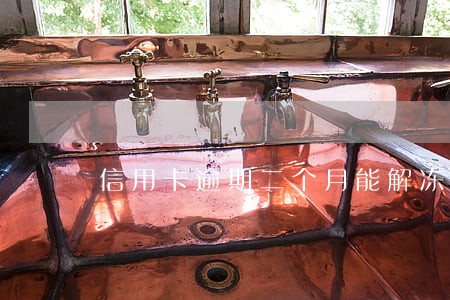 信用卡逾期二个月能解冻 信用卡逾期二个月能解冻