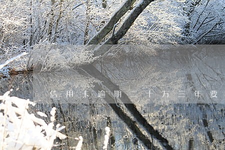 信用卡逾期二十万三年要还多少钱