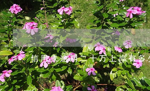 信用卡逾期二十万上岸有多少 信用卡逾期二十万上岸有多少