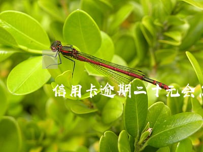 信用卡逾期二十元会怎么样 信用卡逾期二十元会怎么样