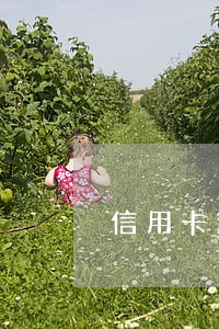 信用卡逾期二十八万如何上岸 信用卡逾期二十八万如何上岸