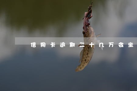 信用卡逾期二十几万会坐牢吗