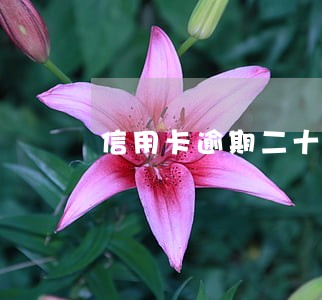 信用卡逾期二十几天怎么办 信用卡逾期二十几天怎么办