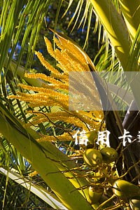 信用卡逾期二十几天还了 信用卡逾期二十几天还了