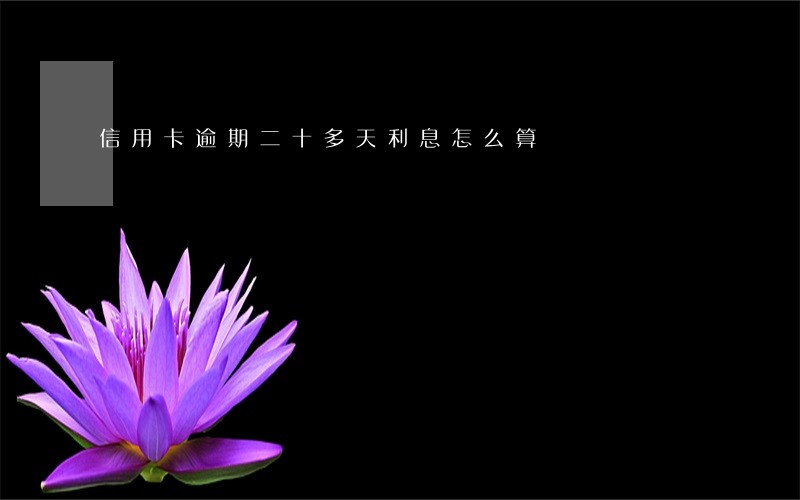 信用卡逾期二十多天利息怎么算 信用卡逾期二十多天利息怎么算